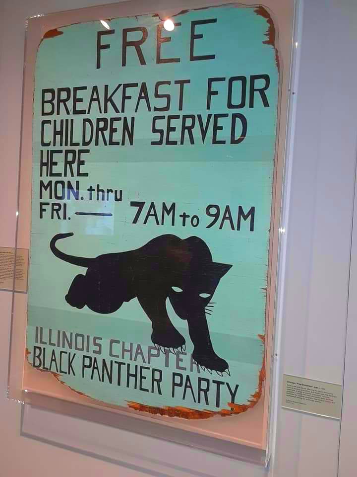 Chicago, Illinois
Black Panther