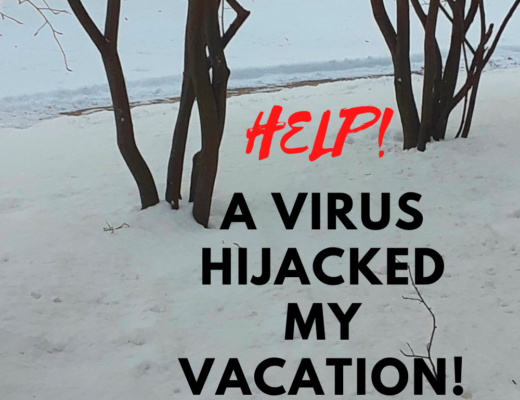 Help! A Virus Hijacked My Vacation!