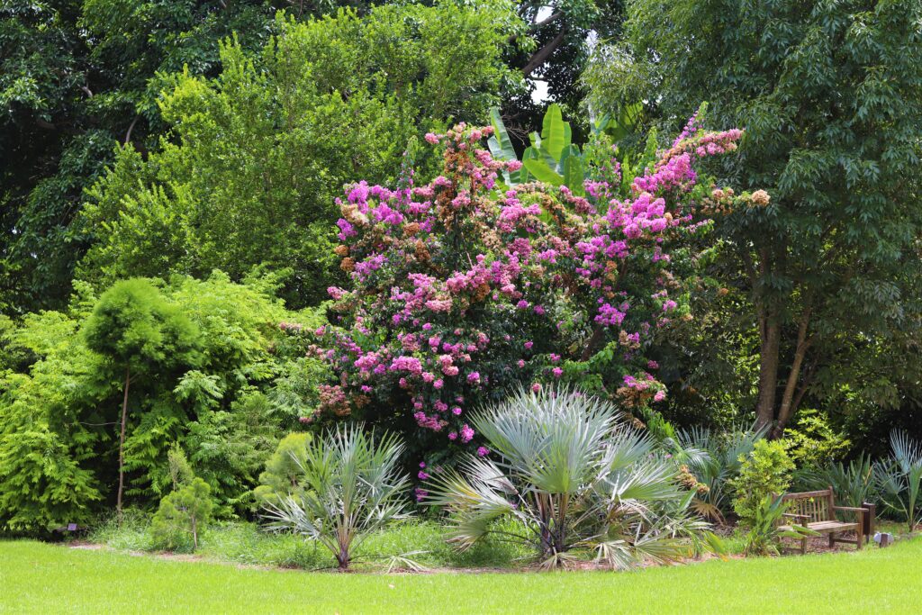 Fairchild Tropical Botanic Garden