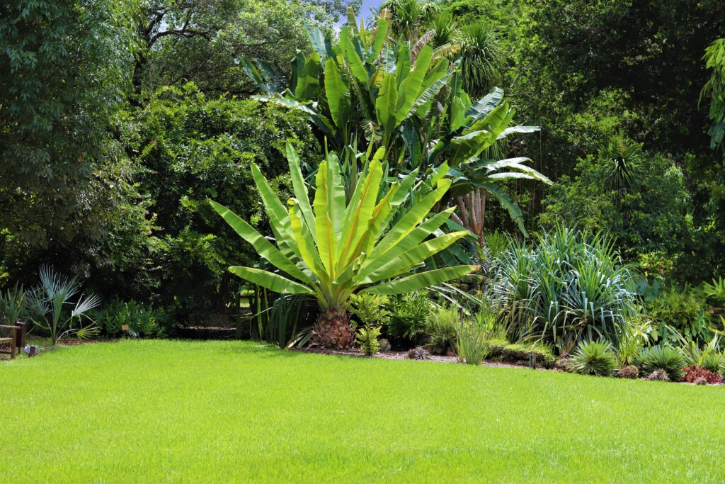 Fairchild Tropical Botanic Garden