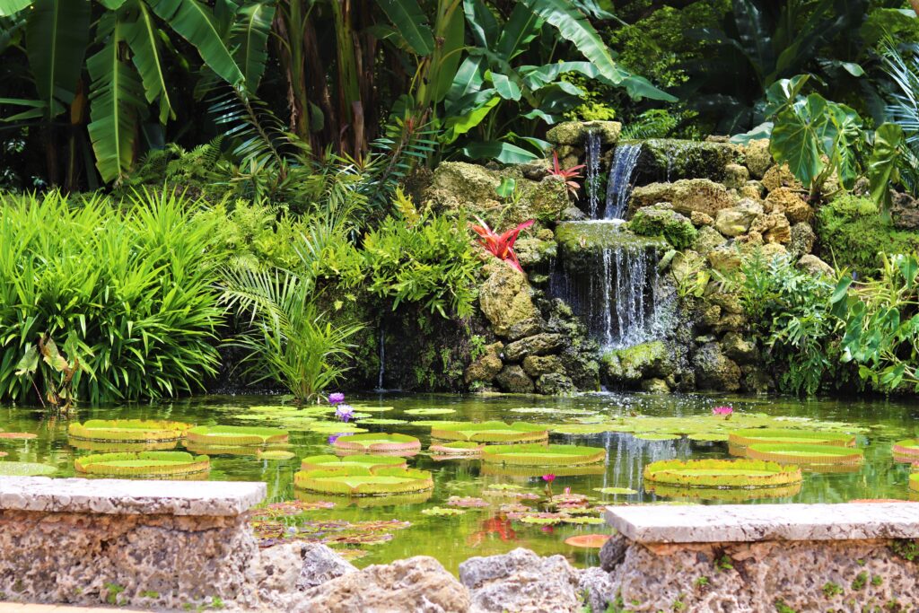 Fairchild Tropic Botanical Garden