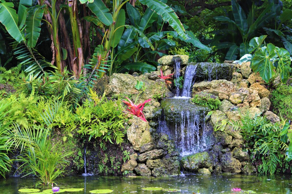 Fairchild Tropical Botanic Garden