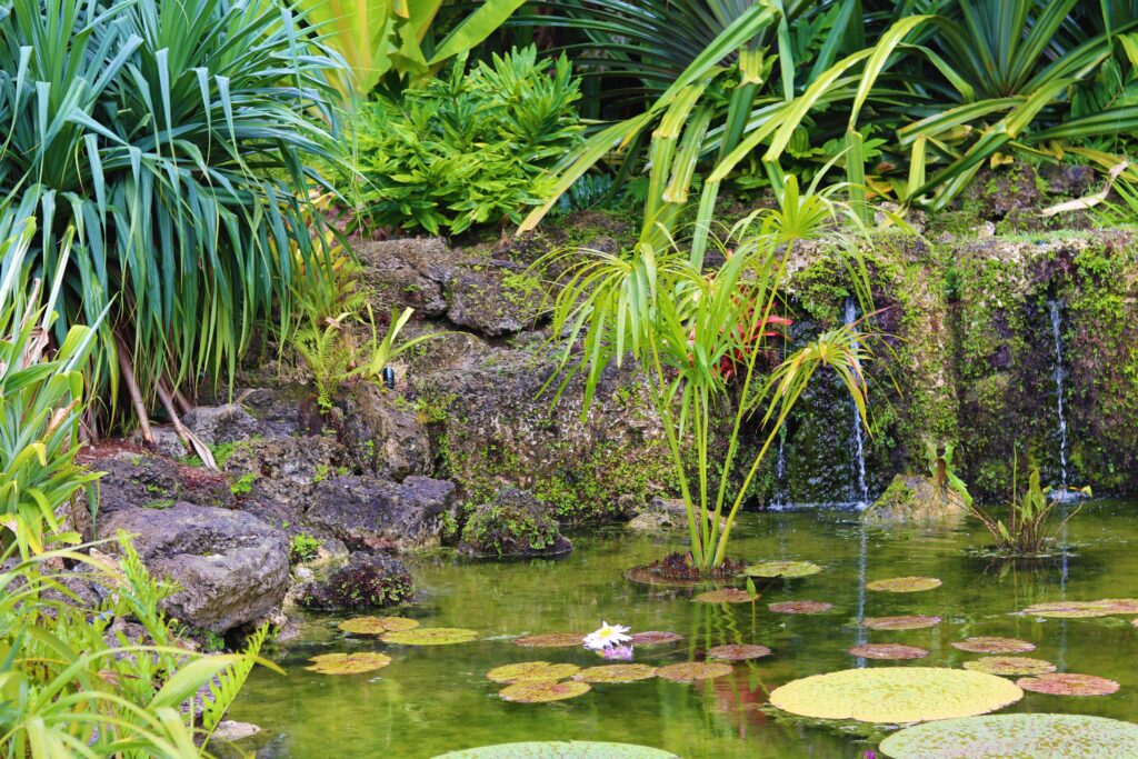 Fairchild Tropical Botanic Garden