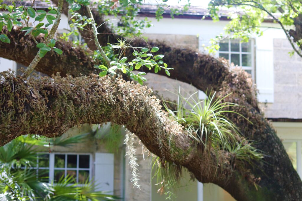 Fairchild Tropical Botanic Garden