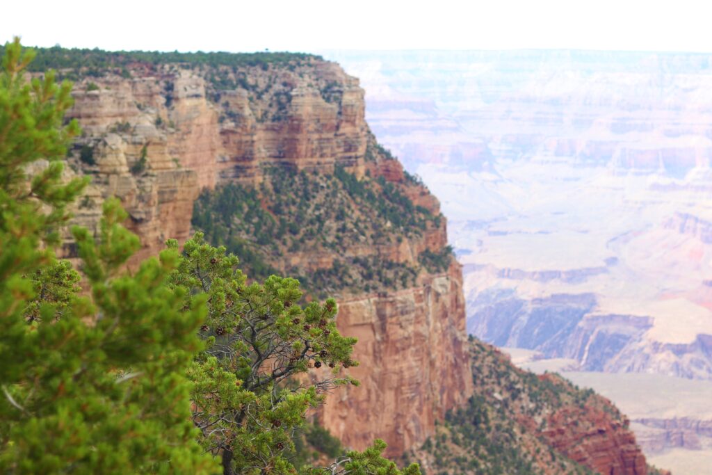 The Grand Canyon’s Splendor and Sedona, Arizona’s Majesty