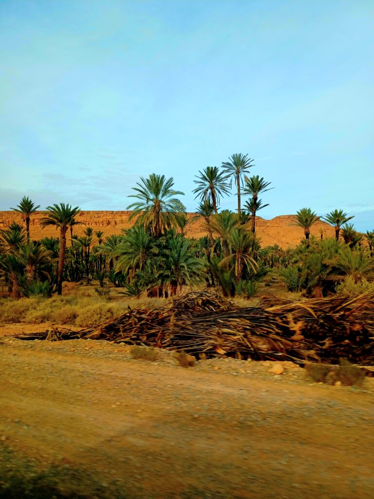 Sahara Desert Easy Travel Hack