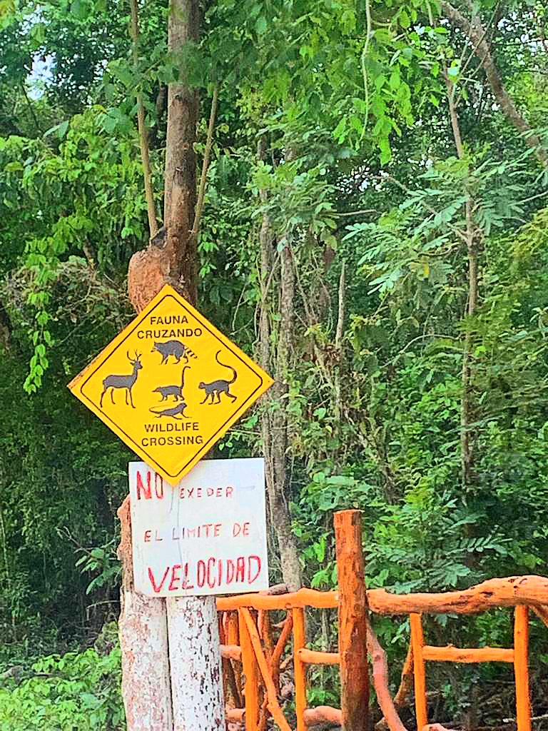 Wildlife crossing sign