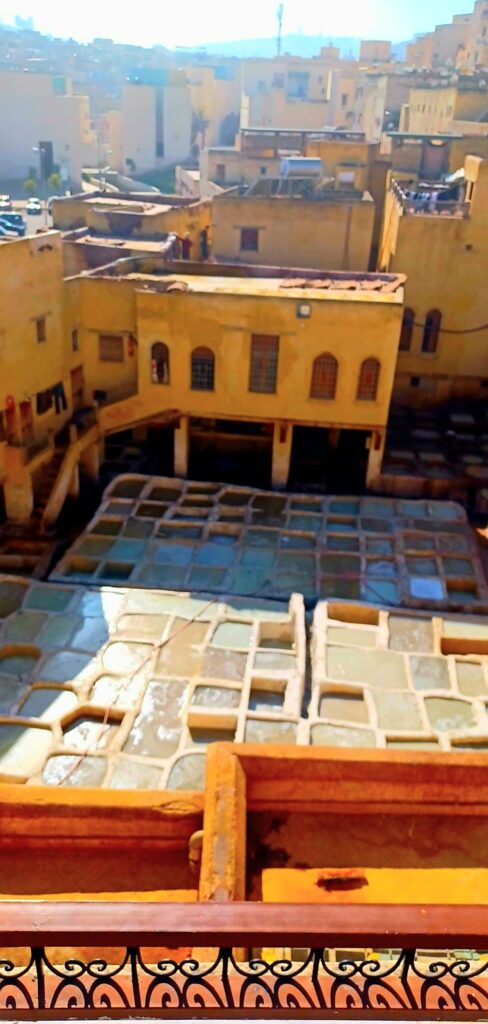 Chouara Tannery